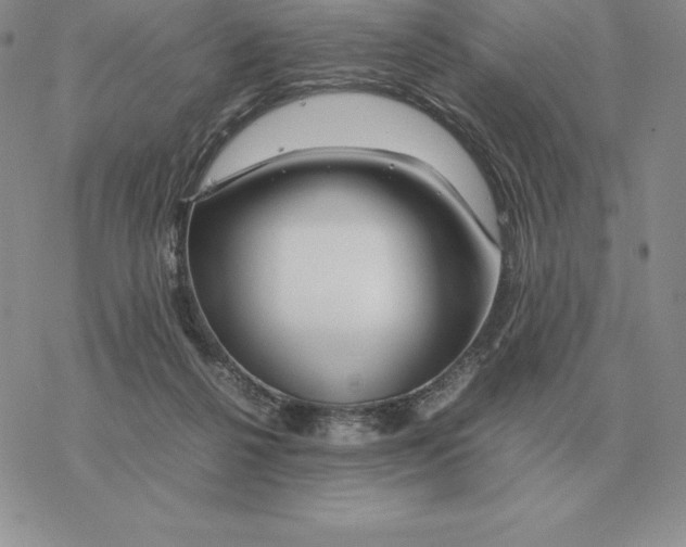 X0000077340264200611171840