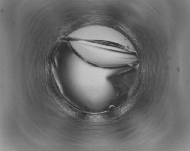 X0000077340265200611171840