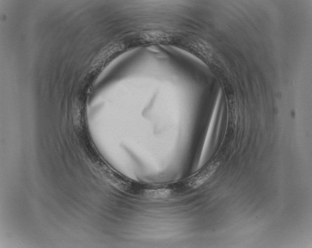 X0000077340266200611171840