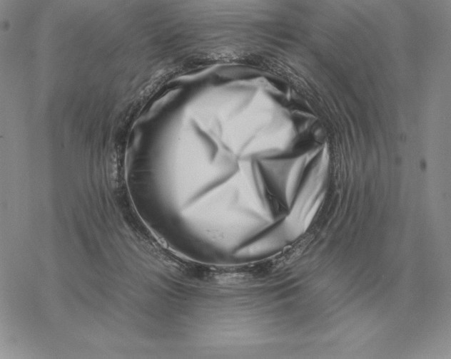 X0000077340268200611171840