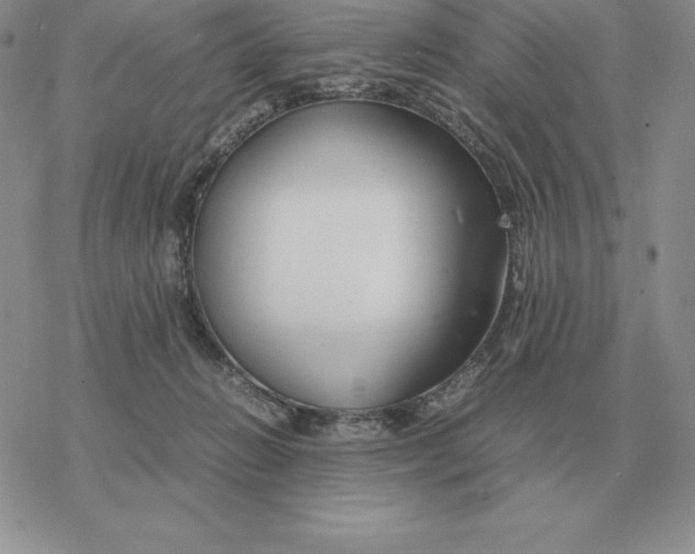 X0000077340270200611171840