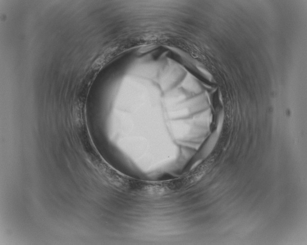 X0000077340272200611171840