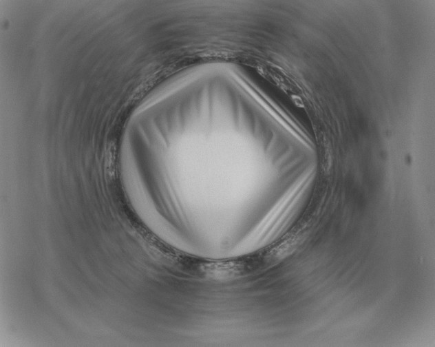 X0000077340273200611171840