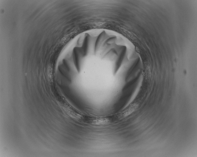 X0000077340274200611171840