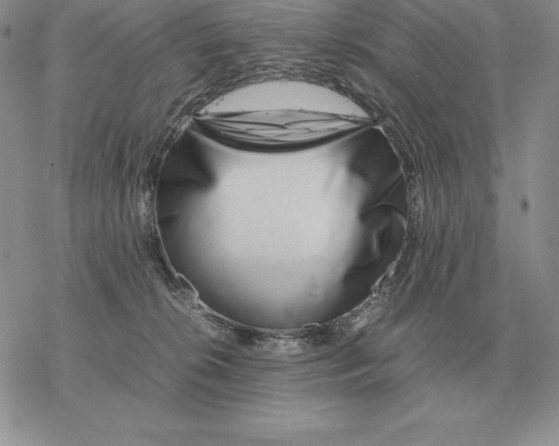 X0000077340276200611171840