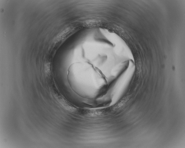 X0000077340278200611171840