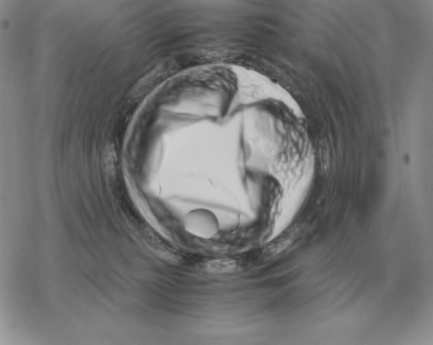 X0000077340279200611171840