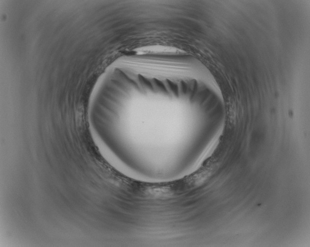 X0000077340283200611171840