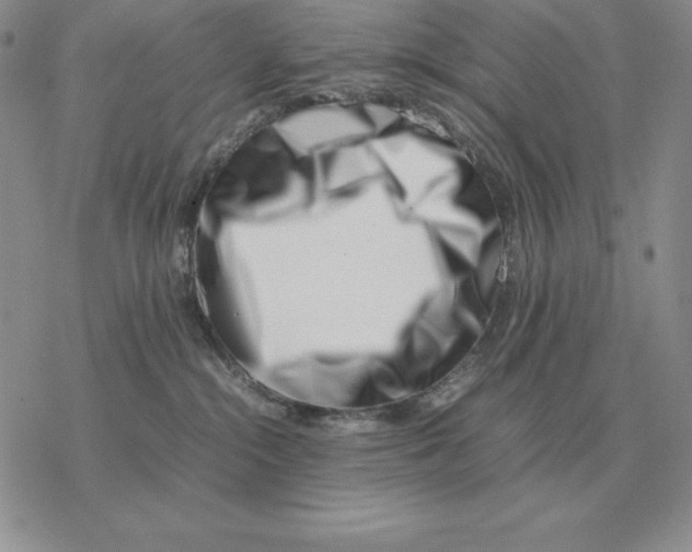 X0000077340284200611171840