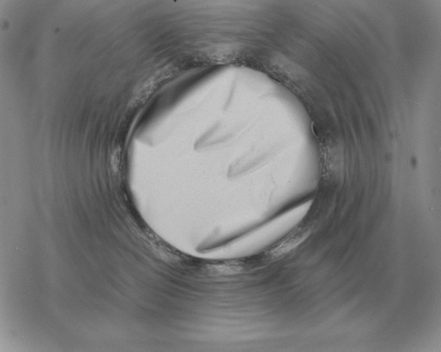 X0000077340286200611171840