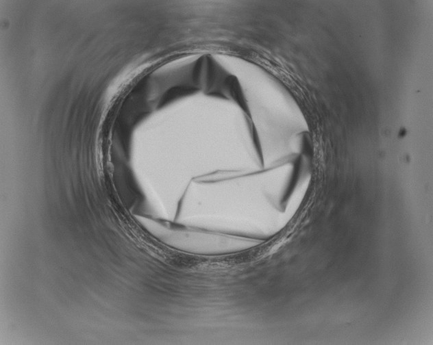 X0000077340294200611171839