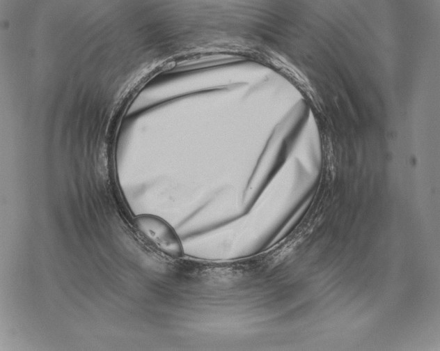 X0000077340298200611171839