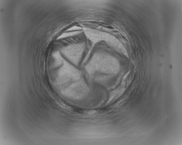 X0000077340301200611171839
