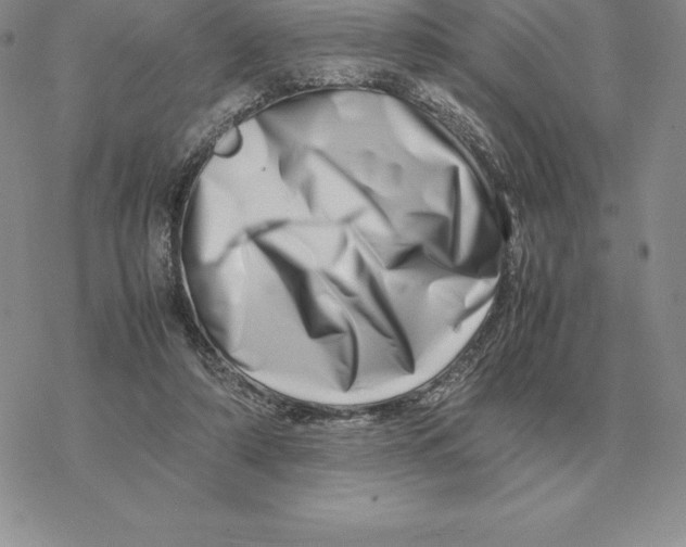X0000077340306200611171839