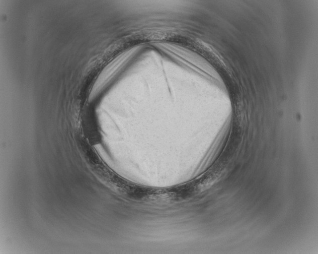 X0000077340307200611171839