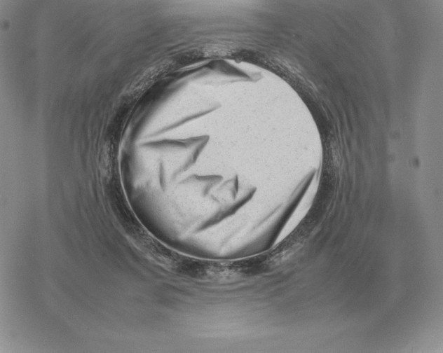 X0000077340311200611171839