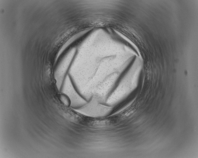 X0000077340314200611171839