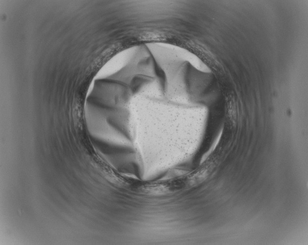 X0000077340322200611171839