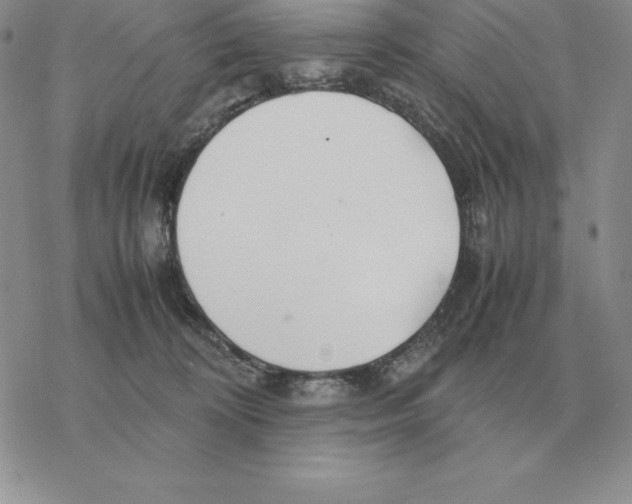 X0000077340324200611171839