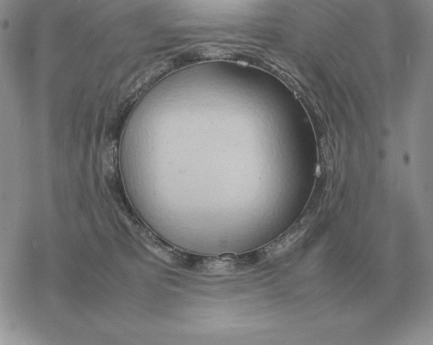 X0000077340325200611171839