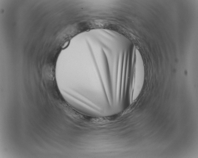 X0000077340331200611171839
