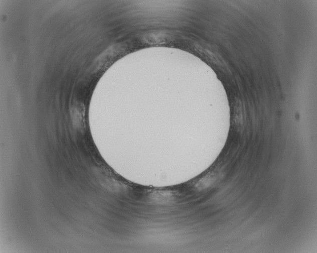 X0000077340332200611171839