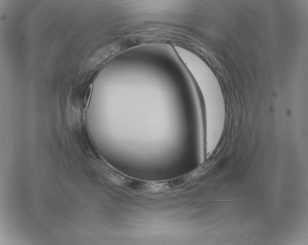 X0000077340333200611171839