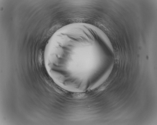 X0000077340334200611171839