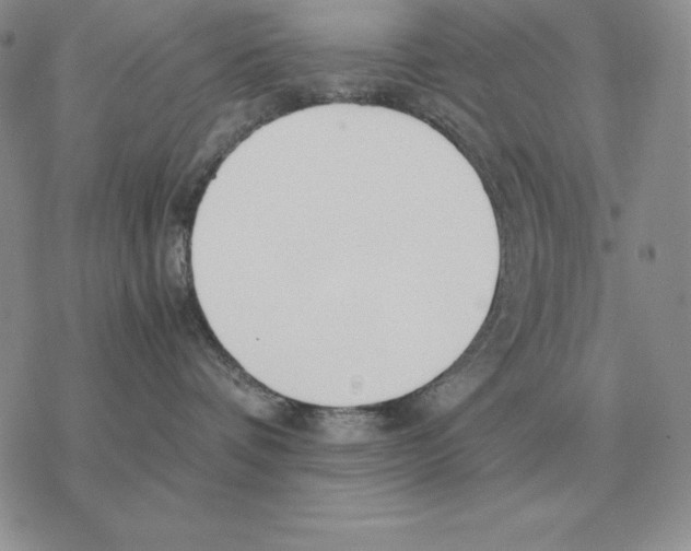 X0000077340336200611171839