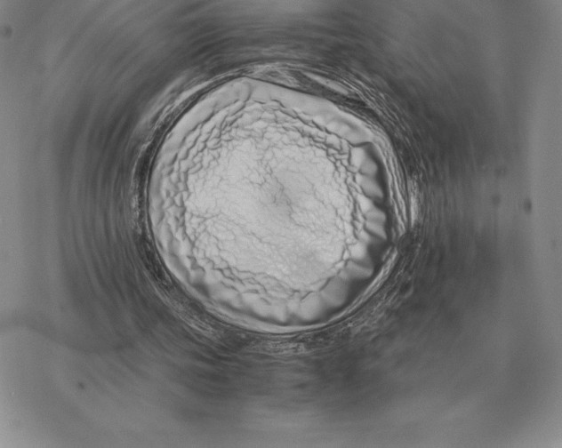 X0000077340339200611171838