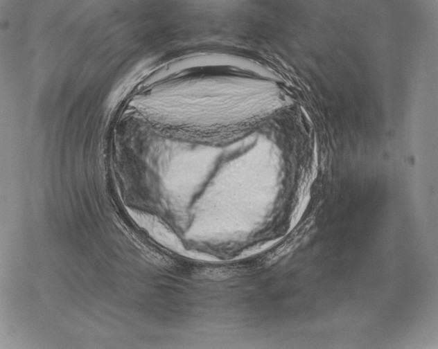 X0000077340341200611171838