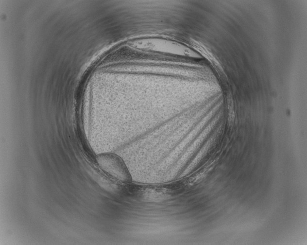 X0000077340346200611171838