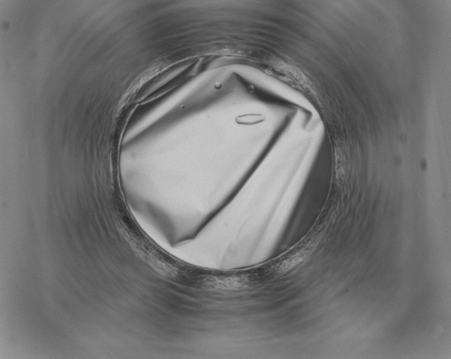 X0000077340349200611171838