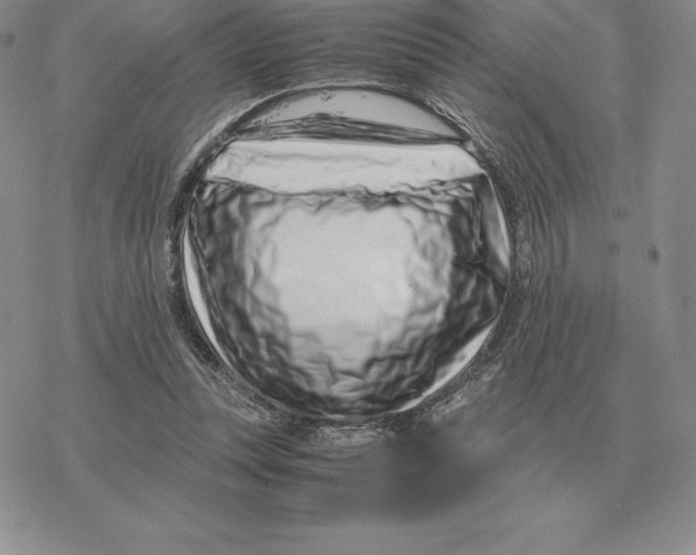 X0000077340351200611171838