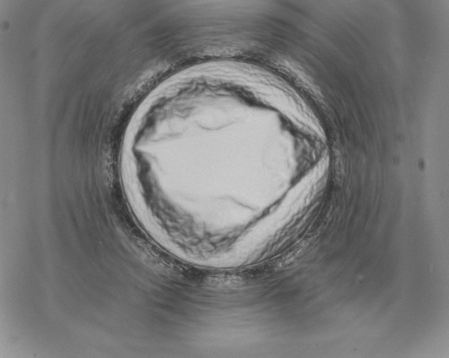 X0000077340354200611171838