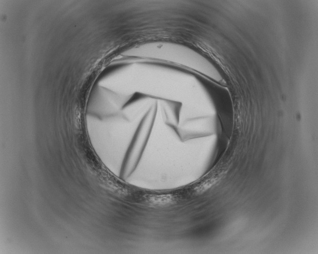 X0000077340355200611171838