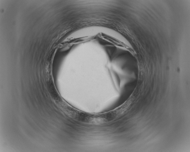 X0000077340360200611171838