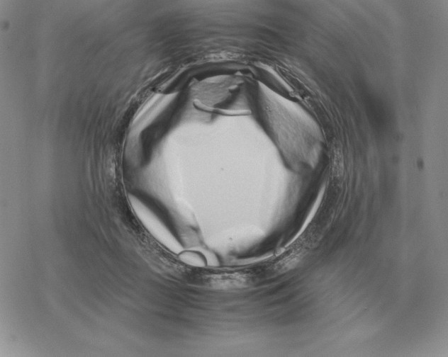 X0000077340363200611171838