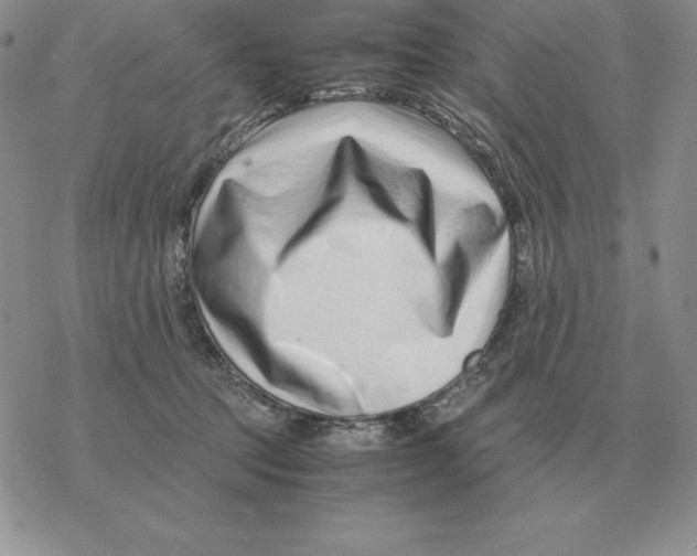 X0000077340369200611171838