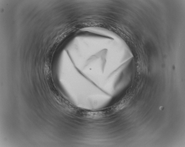 X0000077340371200611171838