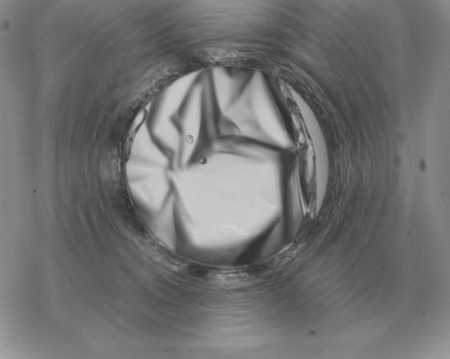 X0000077340372200611171838