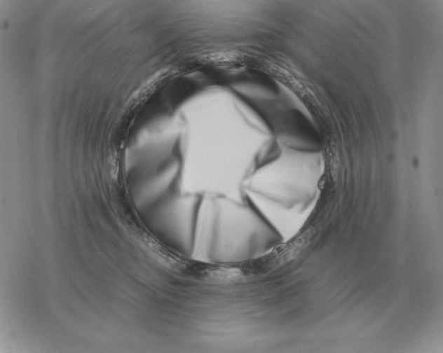 X0000077340374200611171838
