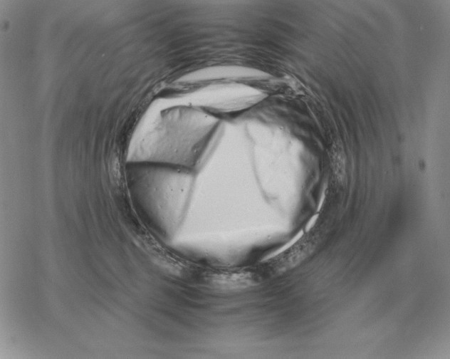 X0000077340375200611171838