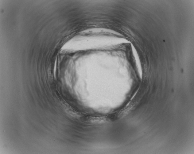 X0000077340377200611171838