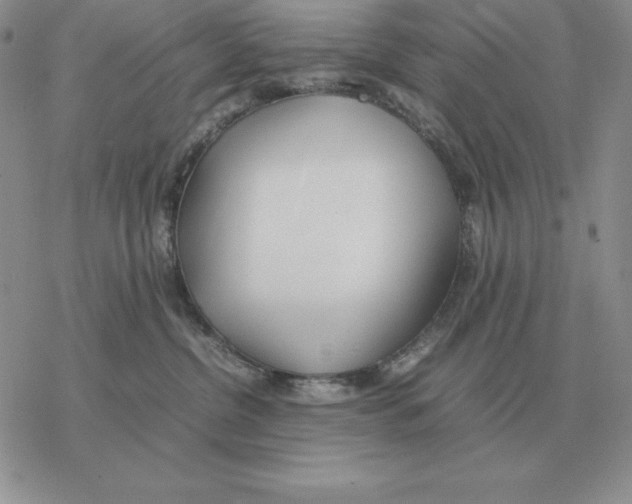 X0000077340380200611171839