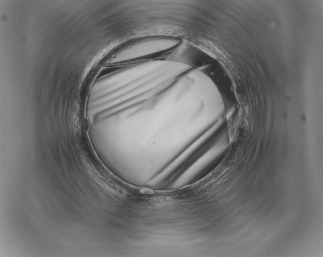 X0000077340392200611171838