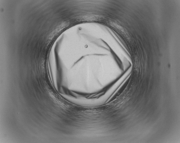 X0000077340394200611171838