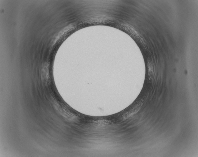 X0000077340396200611171838