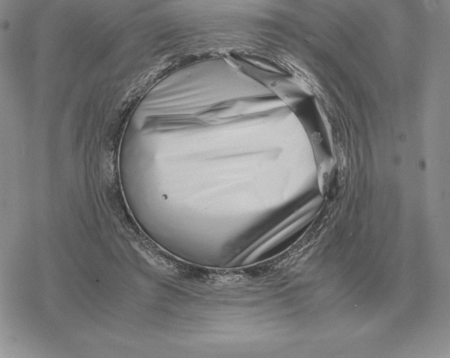 X0000077340401200611171838