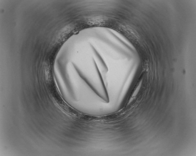 X0000077340408200611171837